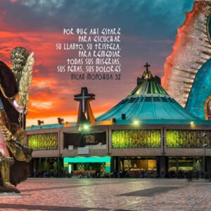 Peregrinación a la Basilica de Guadalupe para cruzar la Puerta Santa y otros destinos santos